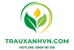 Logo trang chủ